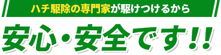 ハチの専門家が駆けつけるから安心・安全です！